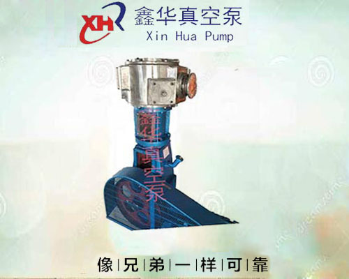 无极3登录:马斯克的DOGE被颁发